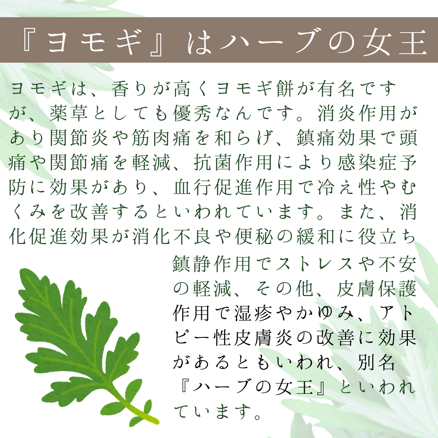 YOMOGI乳酸菌(入浴用)1,500mL