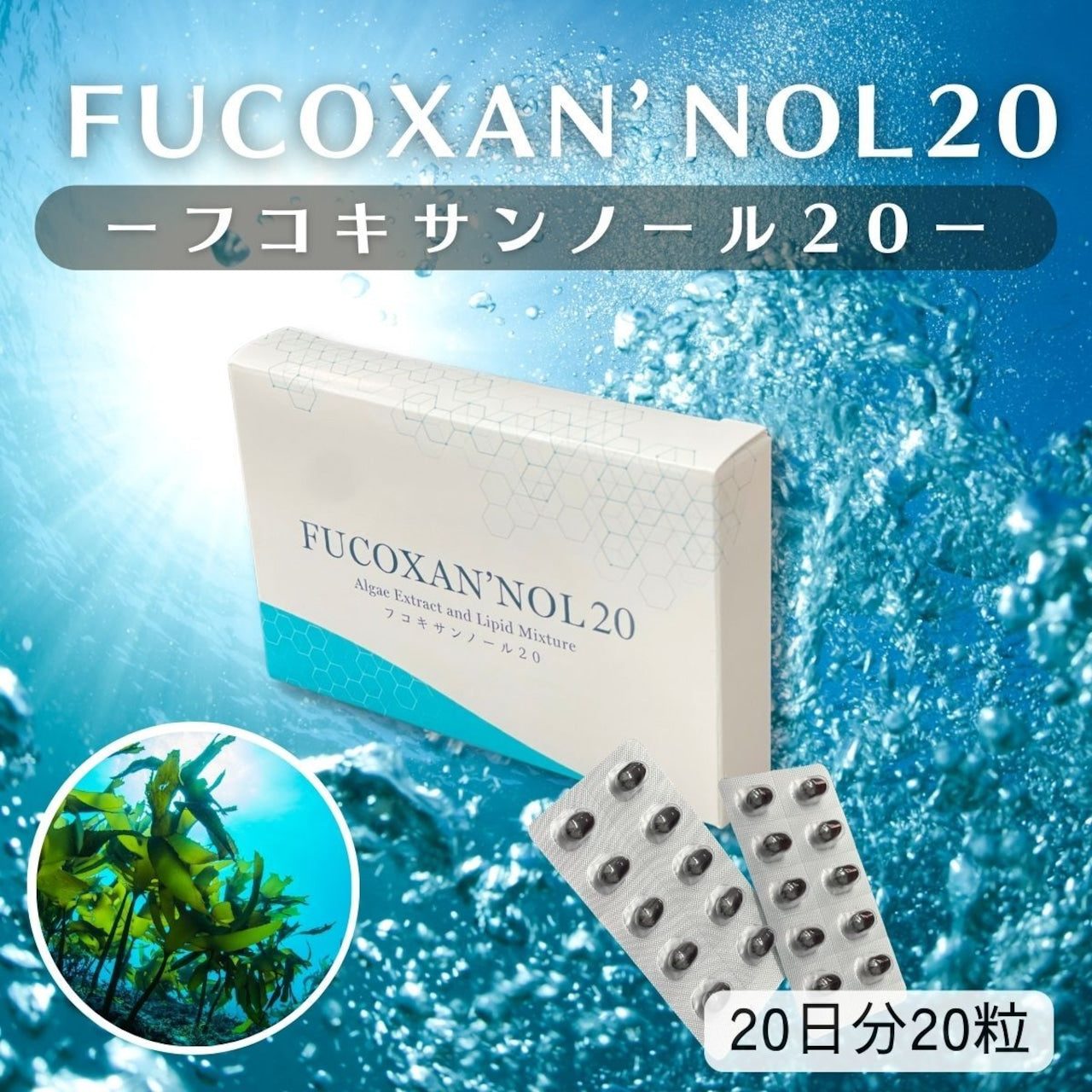 フコキサンノール20 20粒1箱(フコキサンチン サプリメント)