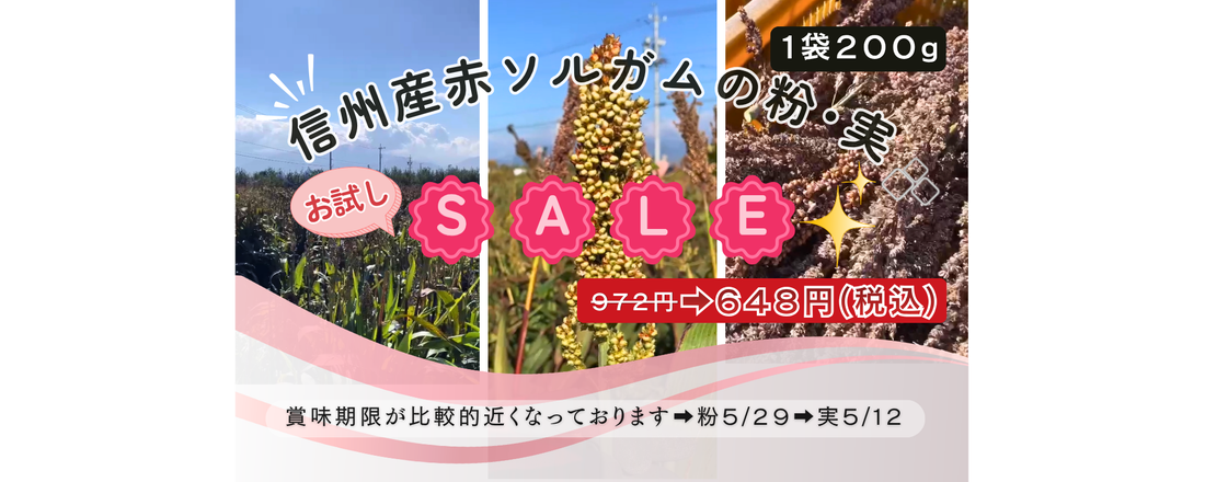 ソルガムの粉・実セール