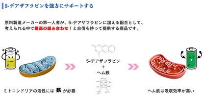 X-5 DEAZAFLVIN PREMIUM エックスファイブデアザフラビン　プレミアム　200mg×30カプセル