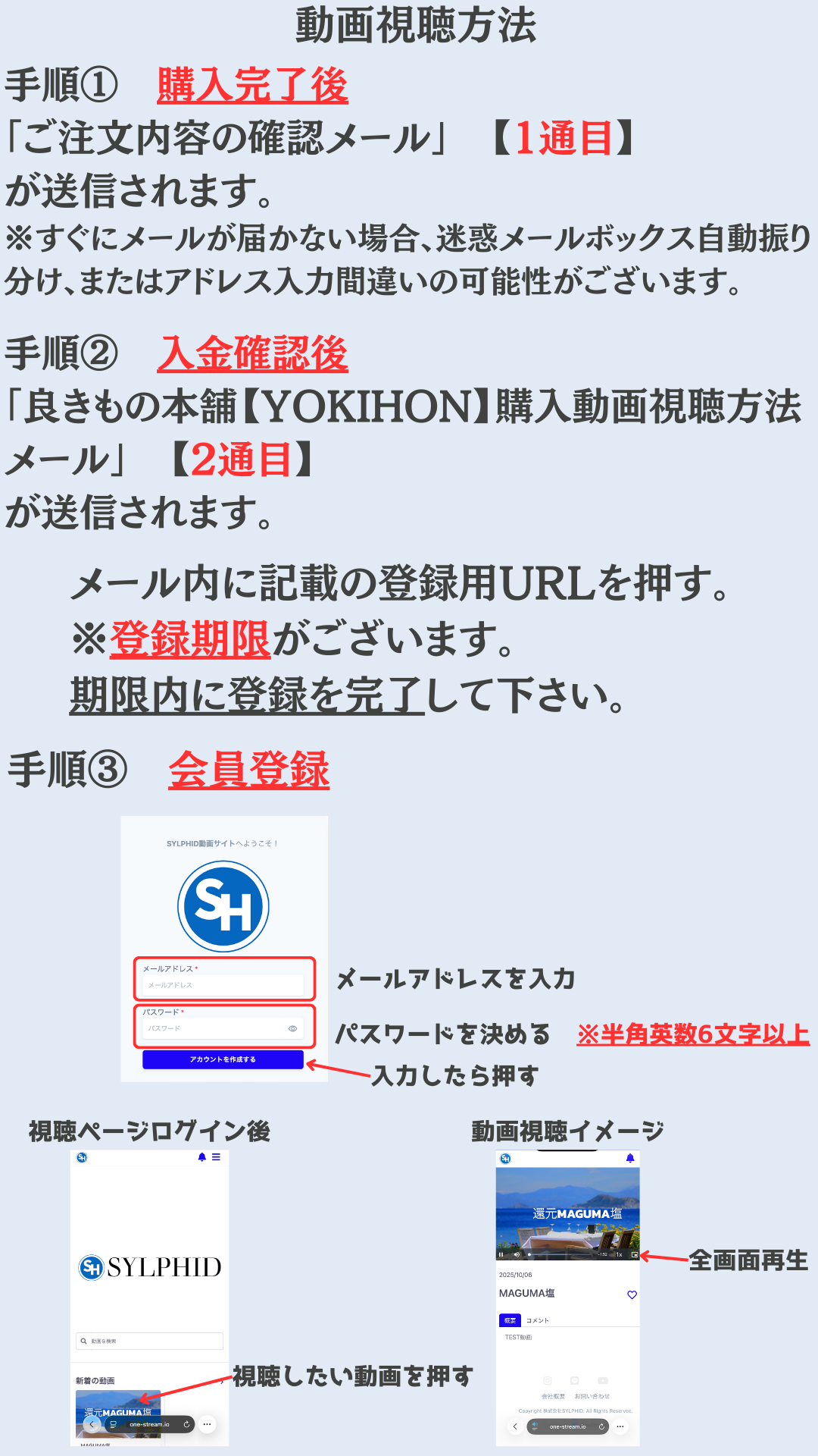 Rainbow Festival 2025　〜新しい時代に向けて〜　No Rain No Rainbow ストリーミング動画視聴購入ページ