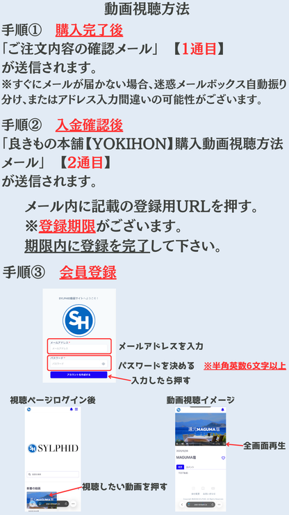 Rainbow Festival 2025　〜新しい時代に向けて〜　No Rain No Rainbow ストリーミング動画視聴購入ページ