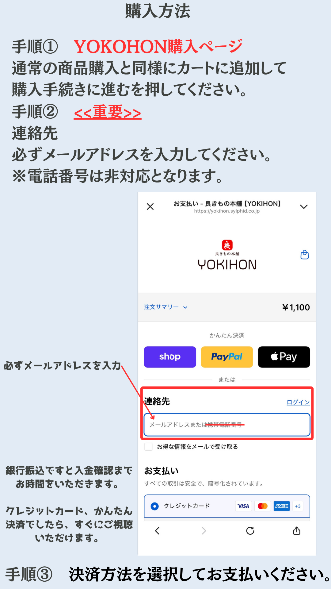 Rainbow Festival 2025　〜新しい時代に向けて〜　No Rain No Rainbow ストリーミング動画視聴購入ページ