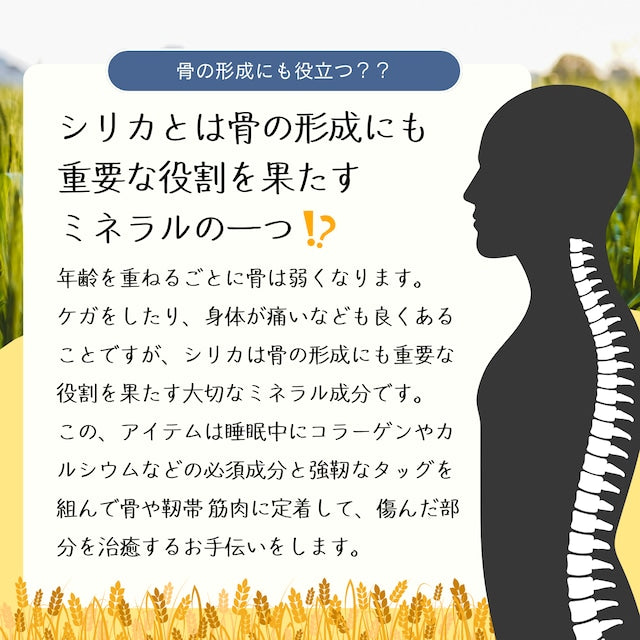 恵みのシリカ アスリート　1粒216mg×150粒