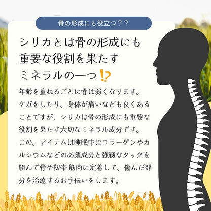 恵みのシリカ　1粒216mg×150粒